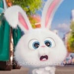 Avatar of Talal Nawaz